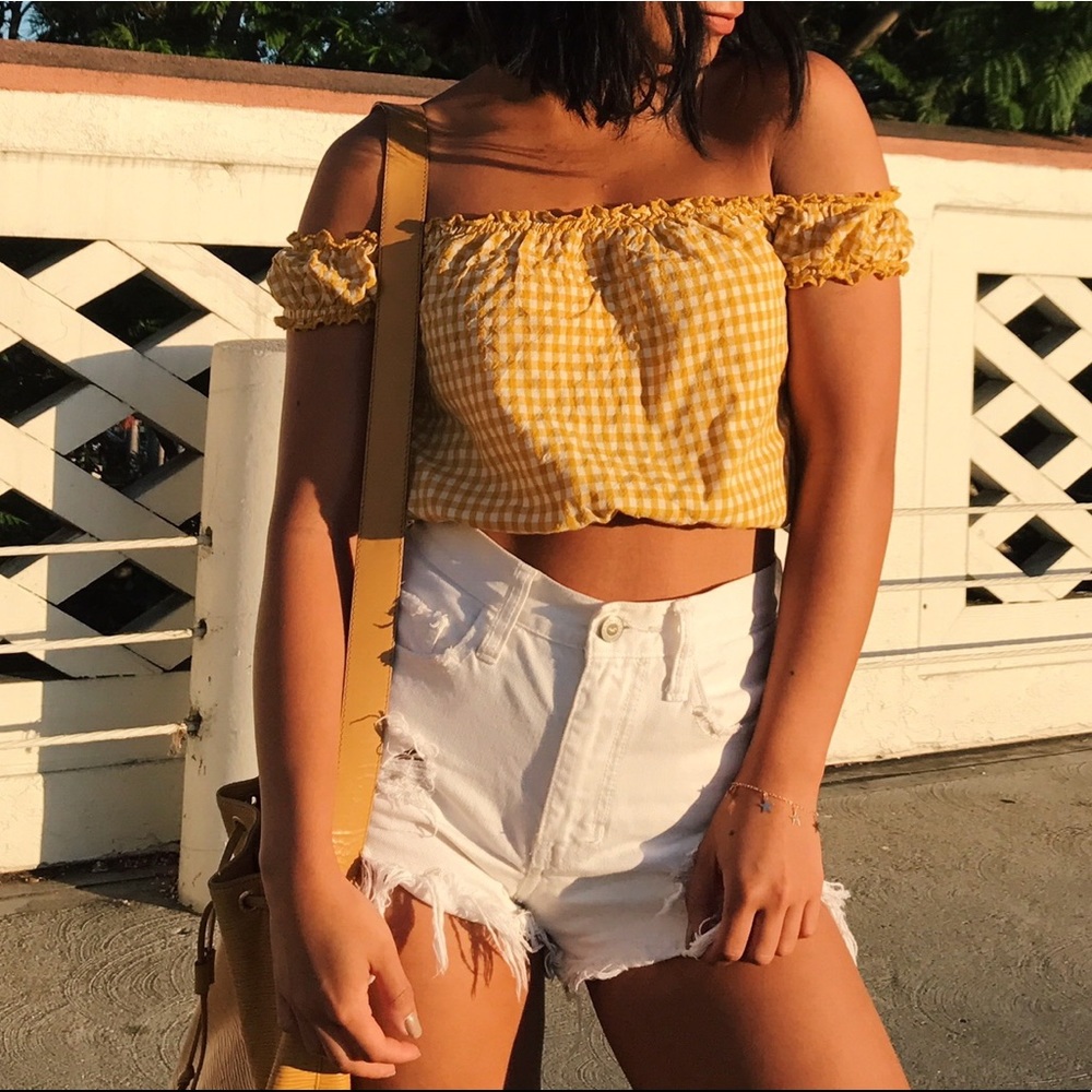 NWOT Brandy Melville Gingham Crop Top
